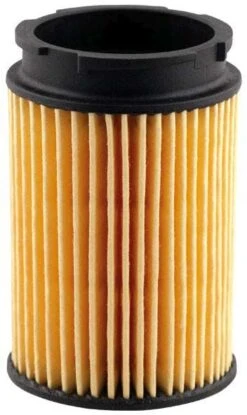 Afriso Feinstfiltereinsatz 20319 5-20 µm, Kurz